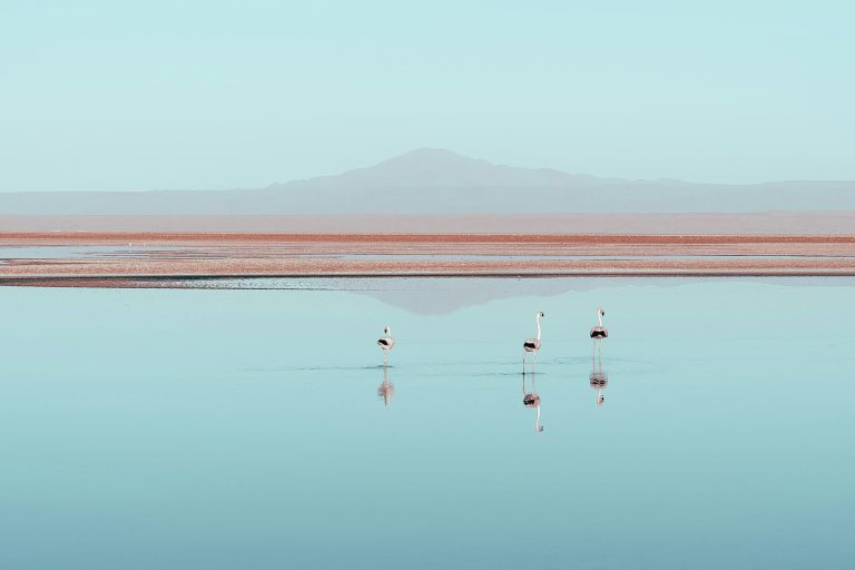 viop-slide-10-pexels-willianjusten-30560291